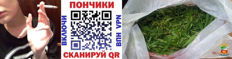 Бошки марихуана ГИДРОПОН  Томари 